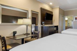 Comfort Inn & Suites Huntington Beach - Huntington Beach - 4