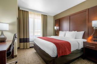 Comfort Inn & Suites Shawnee - Kansas City - Shawnee - 3