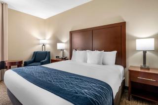 Comfort Inn & Suites Junction City - near Fort Riley - Junction City - 2