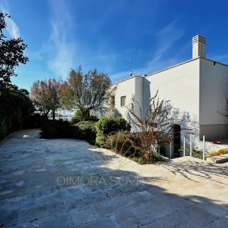 Villa Emiele - Mola di Bari - 5