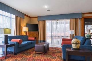Comfort Suites Lake Charles - Lake Charles - 6