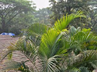 Camp Temgarh - Lavasa - 5
