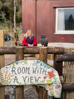 Room with a view - 5