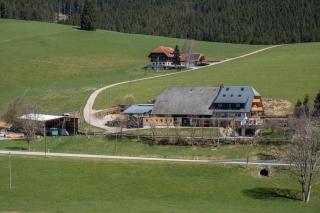 Gantershof - Titisee-Neustadt - 4