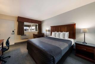 Rodeway Inn South San Francisco Airport - South San Francisco - 3