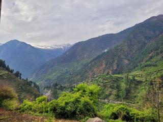 Neha's Place - 8