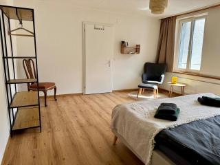 Spacious, stylish & central apartment, Great excursions in surrounding area - Meiringen - 8