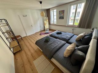 Spacious, stylish & central apartment, Great excursions in surrounding area - Meiringen - 6