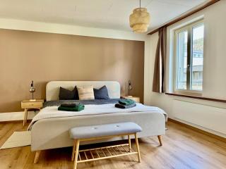 Spacious, stylish & central apartment, Great excursions in surrounding area - Meiringen - 1
