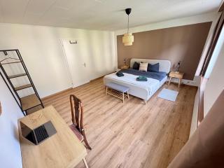 Spacious, stylish & central apartment, Great excursions in surrounding area - Meiringen - 3