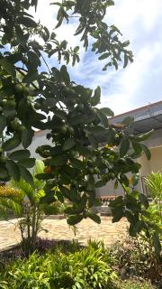 Home stays by Zulia - Buziga - 6