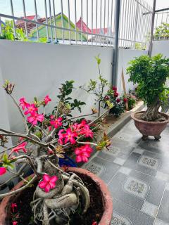 Ryo Homestay Dốc Lết - - 8
