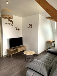Appartement cosy centre historique - Thann - 0