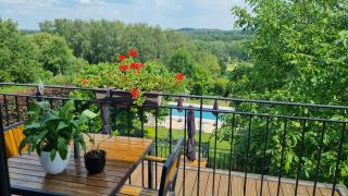 Hallerbos B&B in Bluebell Forest - 7