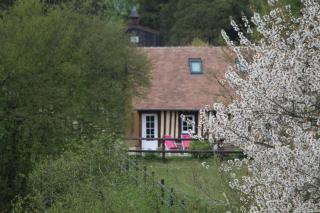 Gite A la petite Bretonnière - Saint-Pierre-des-ifs - 9