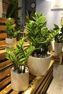 Saigon Luxury Hotel - APEC - Ho Chi Minh - 4