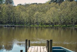 Les Nymphéas, peaceful haven & private pond - Angresse - 6