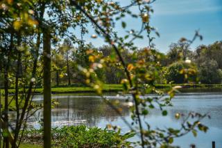 Les Nymphéas, peaceful haven & private pond - 2