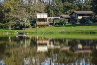 Les Nymphéas, peaceful haven & private pond - Angresse - 1