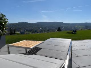 Ferienwohnung Panoramablick - Lörrach - 1