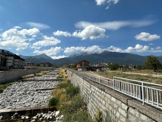 The Merry Goose Apartment in Bansko - Bansko - 1