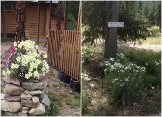 Cozy Log Cabin Rental in a Secluded Forest in Mineral County, Montana - Superior - 6