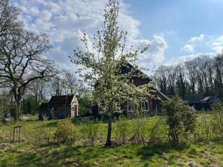 Hoeve Veganza B&B - Vlagtwedde - 5