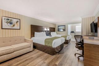 Quality Inn & Suites Anaheim Maingate - Anaheim - 2