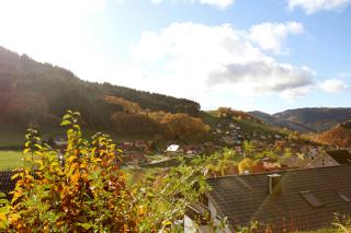 Ferienwohnung Kuckuckslockennest - Seebach - 1