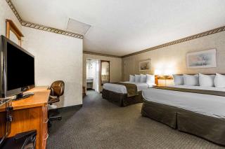 Quality Inn & Suites Silicon Valley - Santa Clara - 4