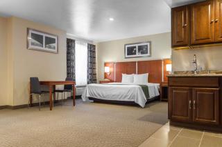 Quality Inn San Jose Airport-Silicon Valley - San José - 4
