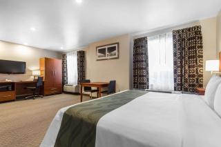 Quality Inn San Jose Airport-Silicon Valley - San José - 3