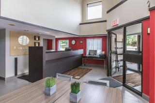 Comfort Inn - Sydney - 2