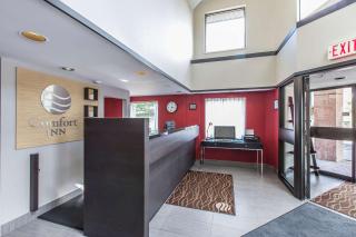 Comfort Inn - Sydney - 1