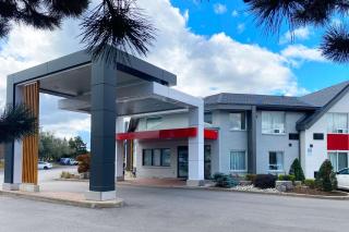 Comfort Inn - Cambridge - 3