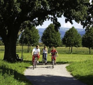 HOKK Hotel im Sportpark - Freiburg im Breisgau - 4