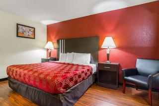 Econo Lodge Research Triangle Park - Durham - 3