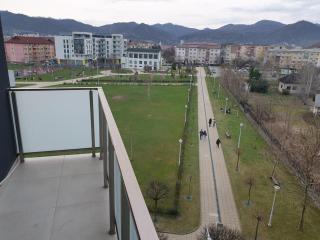 Welcome! Central park! - Baia Mare - 9