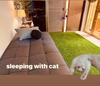 Cat Hotel Hatyai by Krissana Mansion cat only - Hat Yai - 8