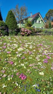 Gadenhaus-für Ferien&Business am Bodensee - 0