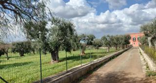 Masseria Gallinaro - Castellana Grotte - 8