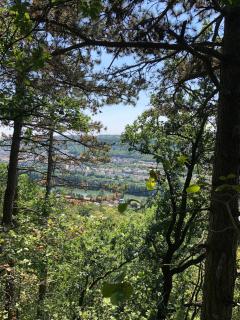 Le Nid - Maison proche de la forêt - 6