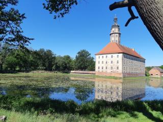 Ferienhaus Waldblick - - 4