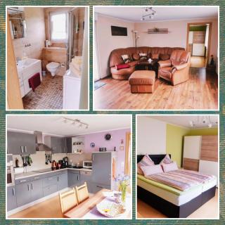 Ferienhaus Waldblick -  - 1