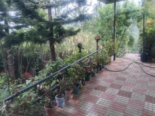 Nest Valley Kotagiri - Kotagiri - 7