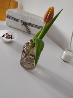 Chez Marcel la Briza Dunării - Tulcea - 7