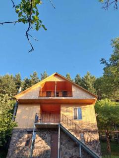Forester's house - 0