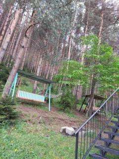 Forester's house - Mzet'amze - 1