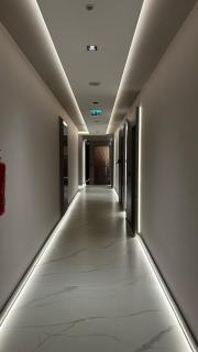 Modern 1 bedroom diamond in city apartment - 5