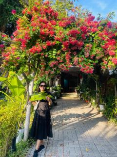 LQ villa -Long Hải - Long Hai - 7